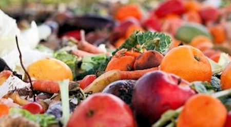 Environmental Research & Education Foundation (EREF) announces food waste and packaging sustainability study