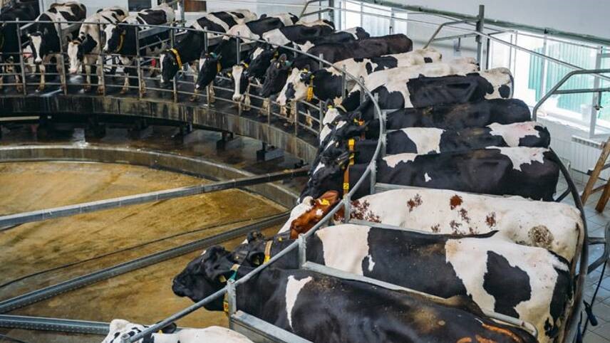 WWF finds Retailers stagnating on food security progress